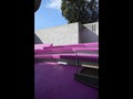 domaio 009 diseños arquitectos moaña vigo arbol muro calidad competitivo